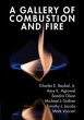 A Gallery of Combustion and Fire - Bild 1