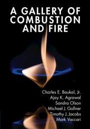 A Gallery of Combustion and Fire - Baukal Jr, Charles E