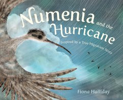 Numenia and the Hurricane - Halliday, Fiona