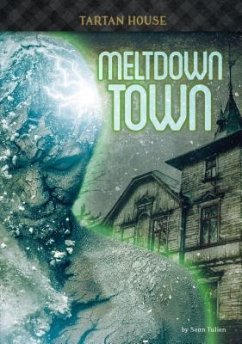 Meltdown Town - Tulien, Sean