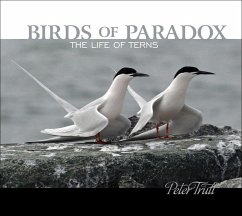 Birds of Paradox: The Life of Terns - Trull, Peter