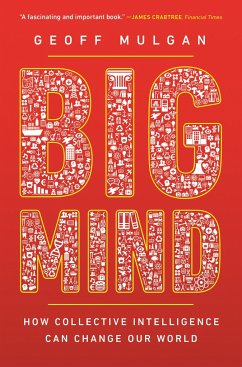 Big Mind - Mulgan, Geoff