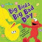 Big Bird's Big Bad Day