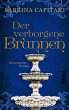Der verborgene Brunnen (eBook, ePUB) - Bild 1