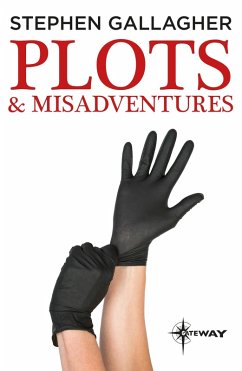 Plots and Misadventures (eBook, ePUB) - Gallagher, Stephen