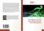 From Big Data to Fast Data: Efficient Stream Data Management