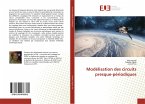 Modélisation des circuits presque-périodiques