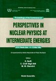 Perspectives in Nuclear Physics at Intermediate Energies - Proceedings of the Conference