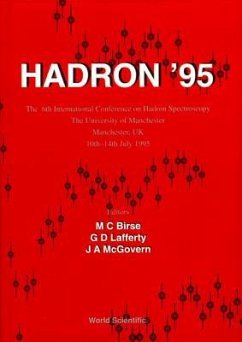 Hadron '95 - Proceedings of the 6th International Conference on Hadron Spectroscopy