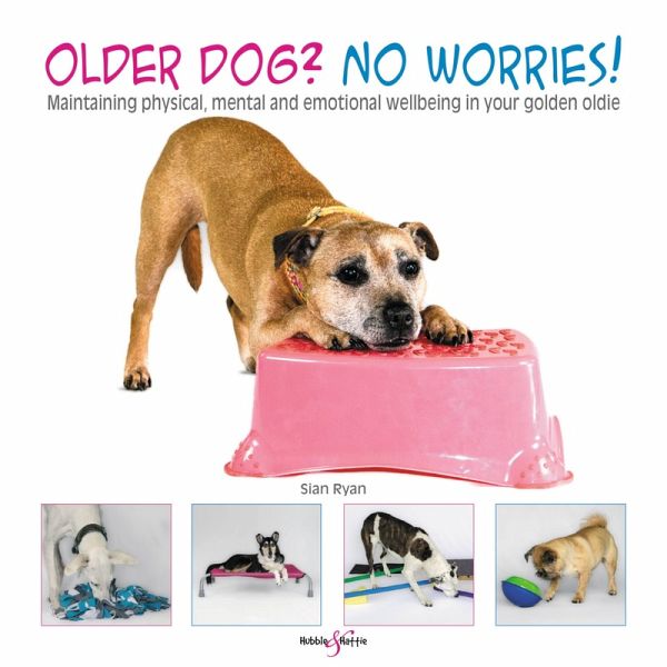 Older Dog? No Worries!