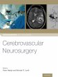 Cerebrovascular Neurosurgery - Bild 1