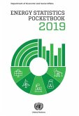 Energy Statistics Pocketbook 2019