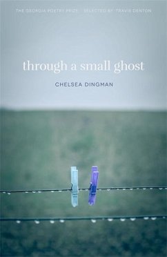 Through a Small Ghost - Dingman, Chelsea