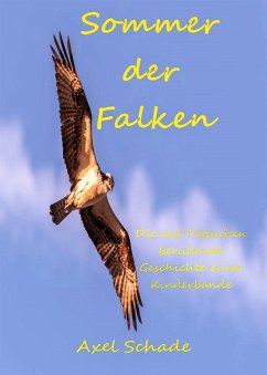 Sommer der Falken (eBook, ePUB) - Schade, Axel