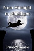 From Midnight to Moonlight