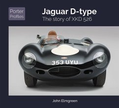 Jaguar D-Type - Elmgreen, John
