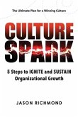 Culture Spark: 5 Steps to Ignite and Sustain Organizational Growthvolume 1