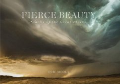 Fierce Beauty - Meola, Eric