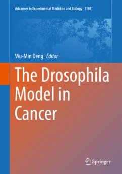 The Drosophila Model in Cancer