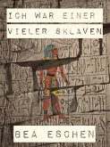 Ich war einer vieler Sklaven (eBook, ePUB)