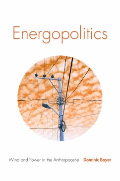 Cover Energopolitics (eBook, PDF)