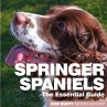 Springer Spaniels - Bild 1