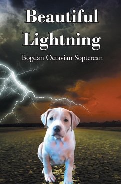 Beautiful Lightning - Sopterean, Bogdan Octavian