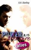 Power & Pleasure (eBook, ePUB)