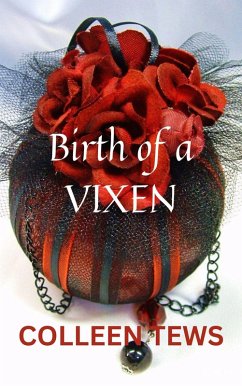 Birth Of A Vixen (Vampire Vixen) (eBook, ePUB) - Tews, Colleen
