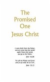 The Promised One (eBook, ePUB)