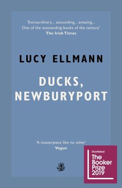 Ducks, Newburyport (eBook, ePUB) - Ellmann, Lucy