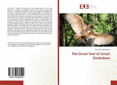 The Great Owl of Great Zimbabwe - Idris Mushangwe, Farai