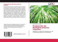 Producción de Biohidrocarburos Líquidos - Ocampo Echeverri, David