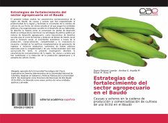 Estrategias de fortalecimiento del sector agropecuario en el Baudó - Palacios Lizarda, Dayro;Asprilla M, Amilkar E.;Rivas R, Eduar M.