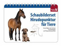 Schaubilderset Hirudopunktur für Tiere - Deutsche Ausgabe -> nur noch Schweizer Ausgabe lieferbar! - Dr. med. vet. Hauswirth, Susanne