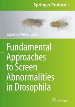 Fundamental Approaches to Screen Abnormalities in Drosophila