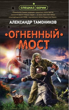 Огненный мост (eBook, ePUB) - Тамоников, Александр