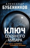 Ключ Соляного Амбара (eBook, ePUB)