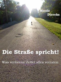 Die Straße spricht! (eBook, ePUB) - Diercks, Nicole