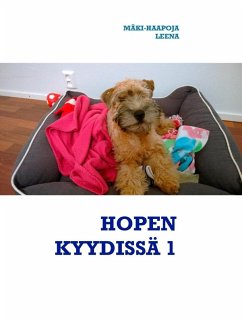 HOPEN KYYDISSÄ 1 (eBook, ePUB)
