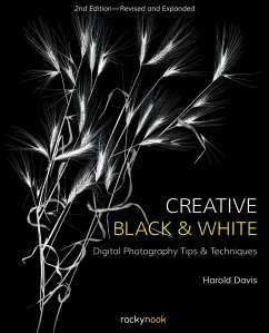 Creative Black and White (eBook, ePUB) - Davis, Harold