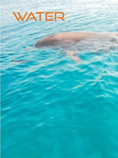 Water (eBook, ePUB) Water (eBook, ePUB)