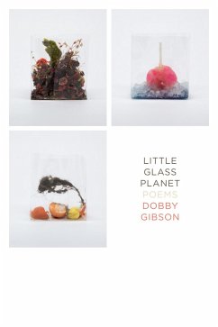 Little Glass Planet (eBook, ePUB) - Gibson, Dobby