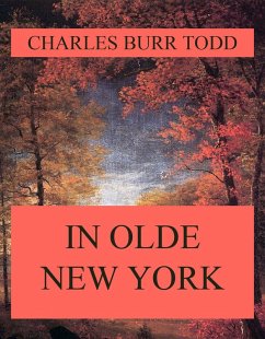 In Olde New York (eBook, ePUB) - Todd, Charles Burr