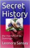 Secret History / or, the Horrors of St. Domingo (eBook, PDF)