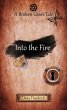 Into the Fire (Broken Gears, #2)... - Bild 1