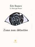 Zone non-détectée (eBook, ePUB)