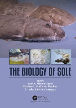 The Biology of Sole (eBook, ePUB)