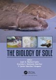 The Biology of Sole (eBook, PDF)