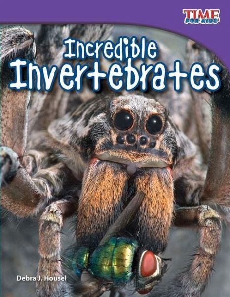 Incredible Invertebrates (eBook, PDF)